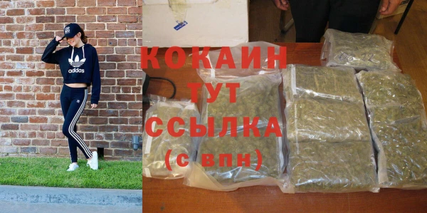 СК Аркадак