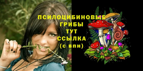 герыч Арсеньев