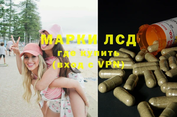 СК Аркадак